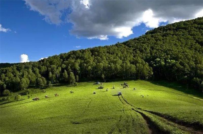 避暑好去處 壩上草原【孤石陽光山谷】(圖15)