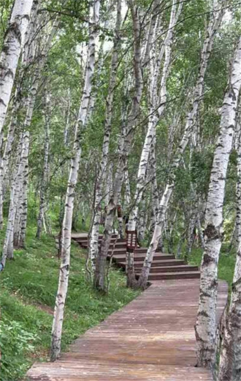 塞罕壩明珠七星湖 詩(shī)情畫意似仙境(圖12)