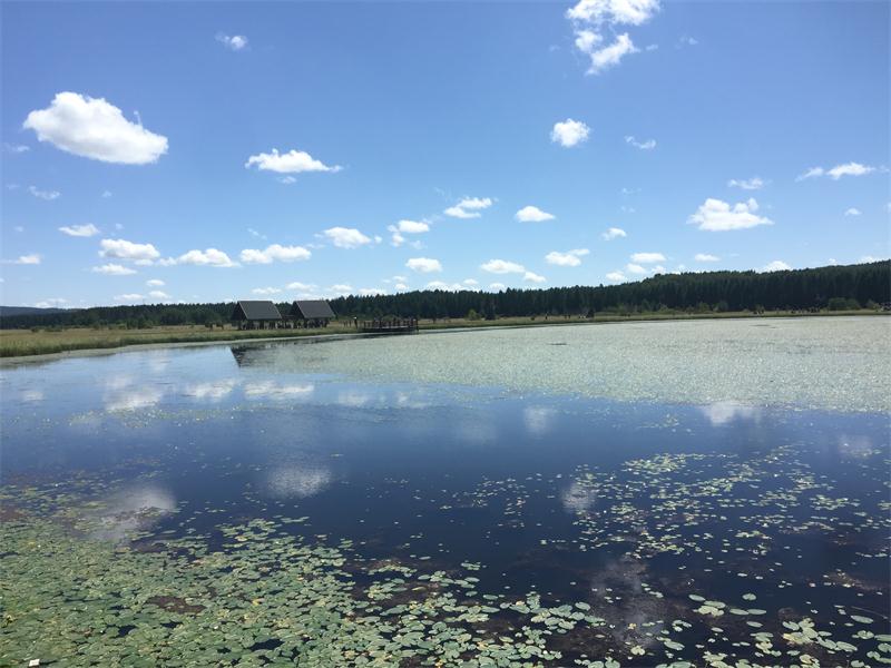 塞罕壩明珠七星湖 詩(shī)情畫意似仙境(圖10)