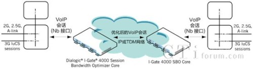 3G �ƄӾW(w��ng)�j Nb VoIP ��Ԓ��(y��u)��