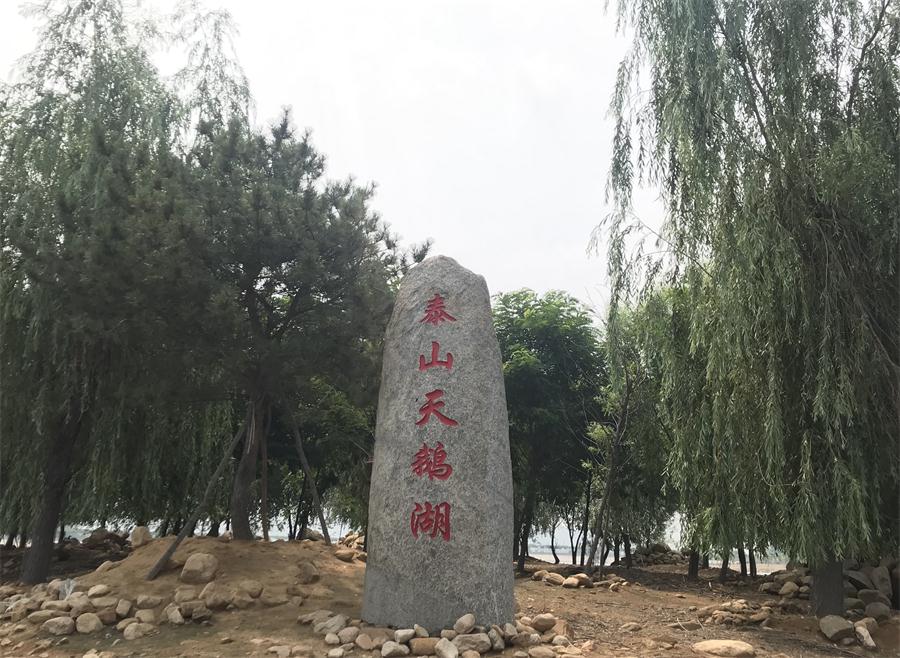 天鵝湖風(fēng)景區(qū)（泰山）速覽！(圖12)