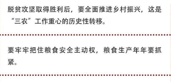 2020年中央農(nóng)村工作會(huì)議精神速覽！(圖2)