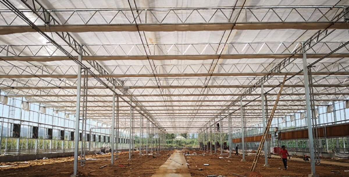 信橋鋼構(gòu)：打卡蒙陰農(nóng)業(yè)溫室大棚、青州黑牛養(yǎng)殖基地！(圖3)